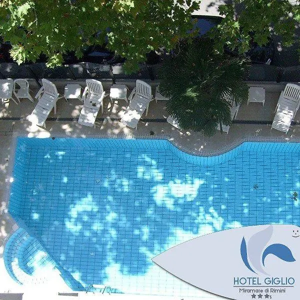 ***  Hotel Giglio Римини Италия